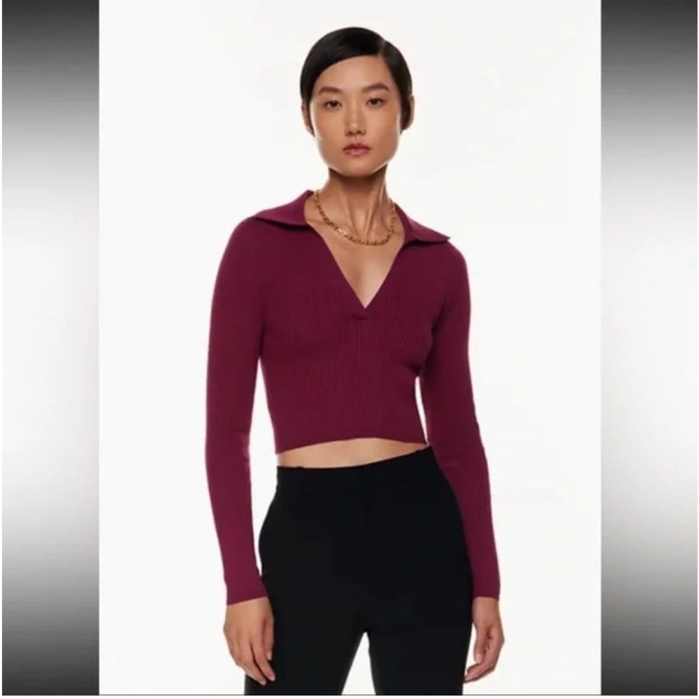Aritzia Babaton ribbed knit long-sleeve top sweater grapevine burgundy plum 2XS